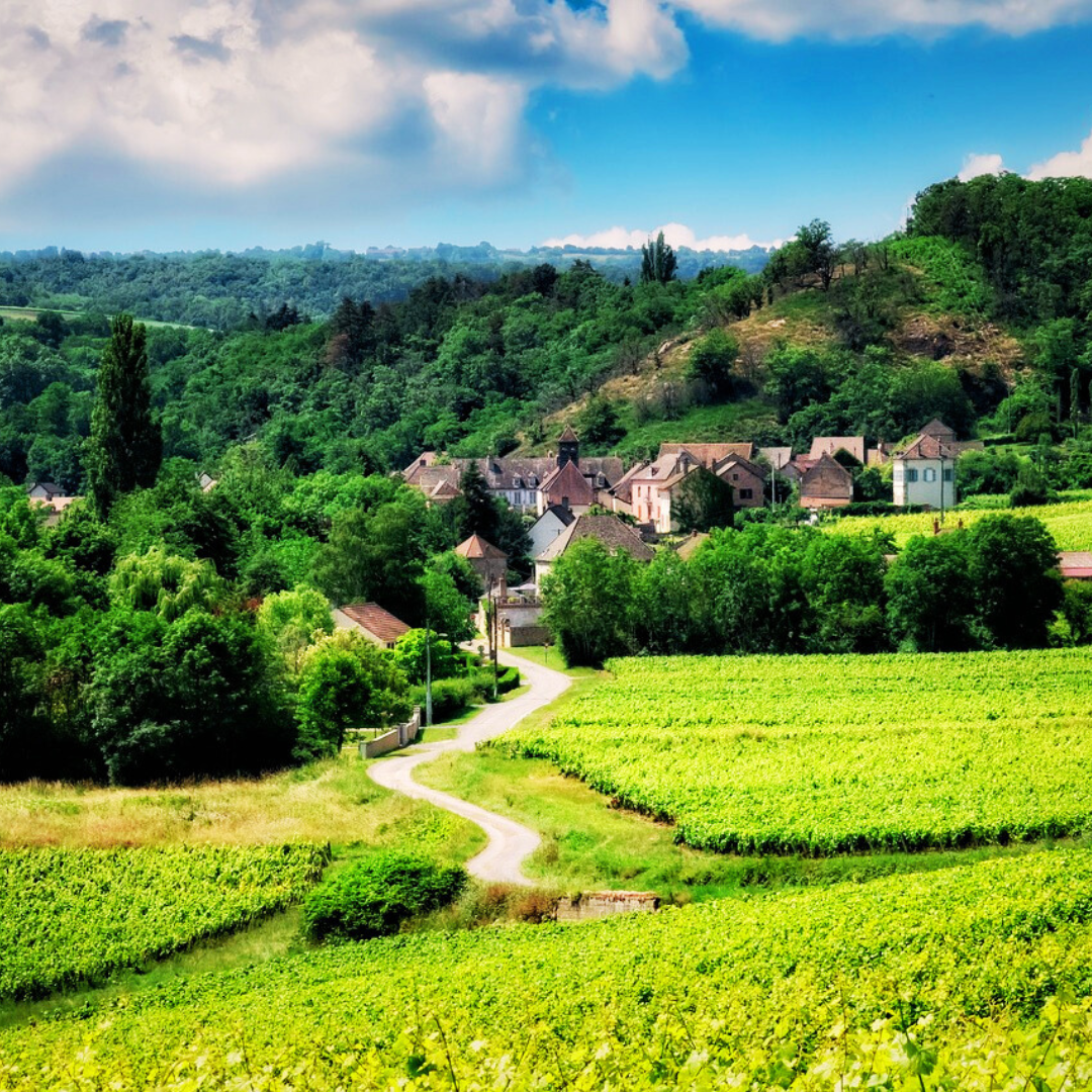 Burgund: Côte & Hautes Côtes de Nuits