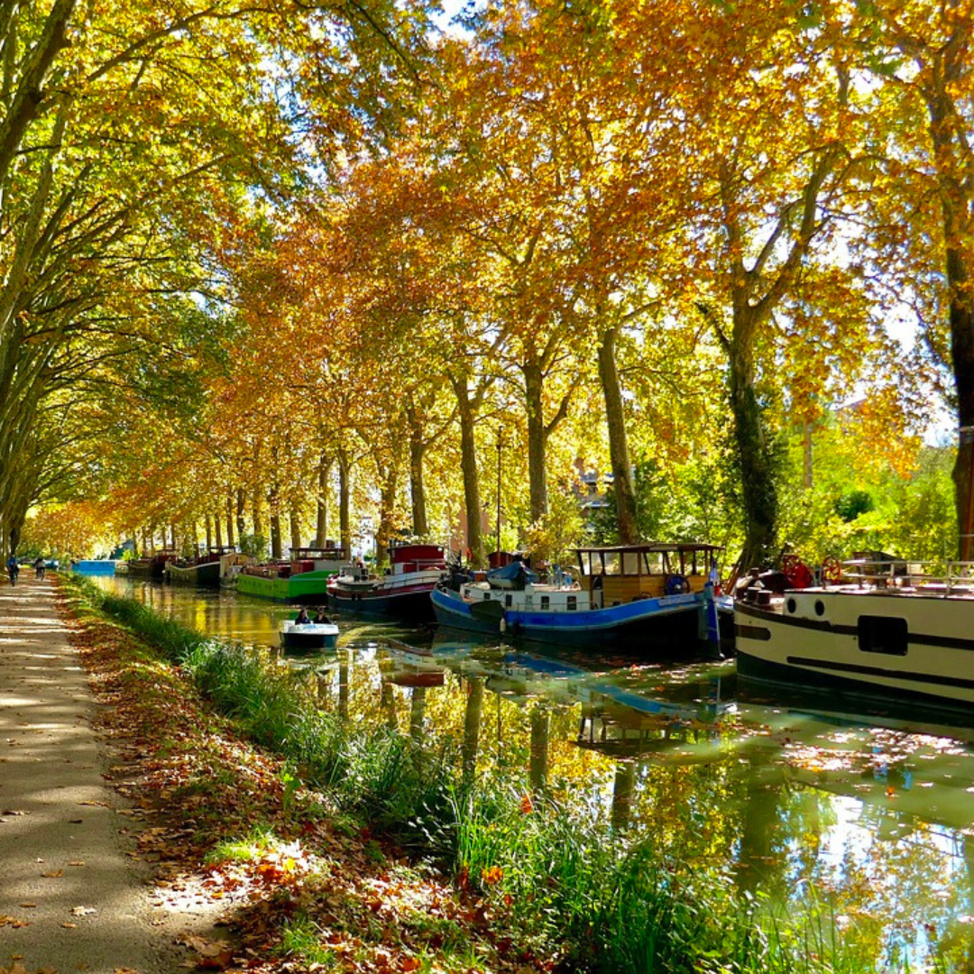 Languedoc, Perlen aus Südfrankreich 