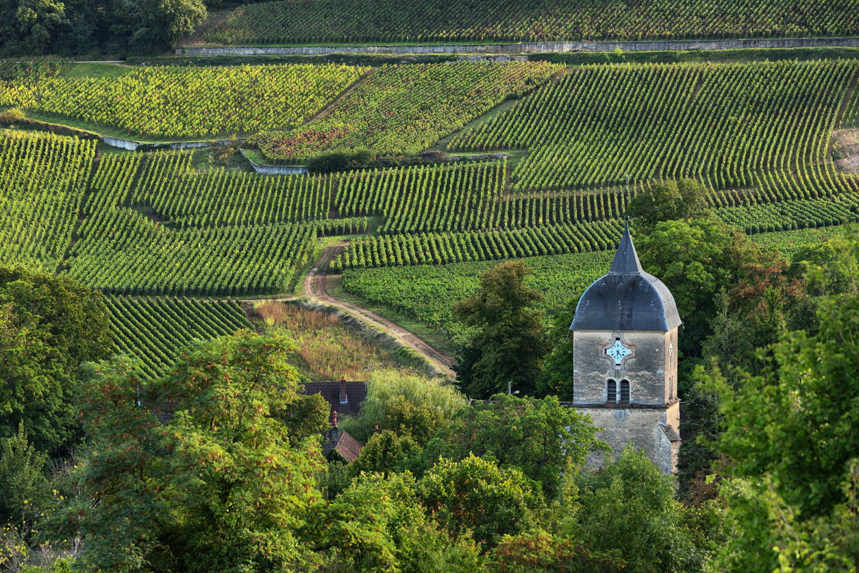 Sternstunden: Premier Crus von der Côte d‘Or