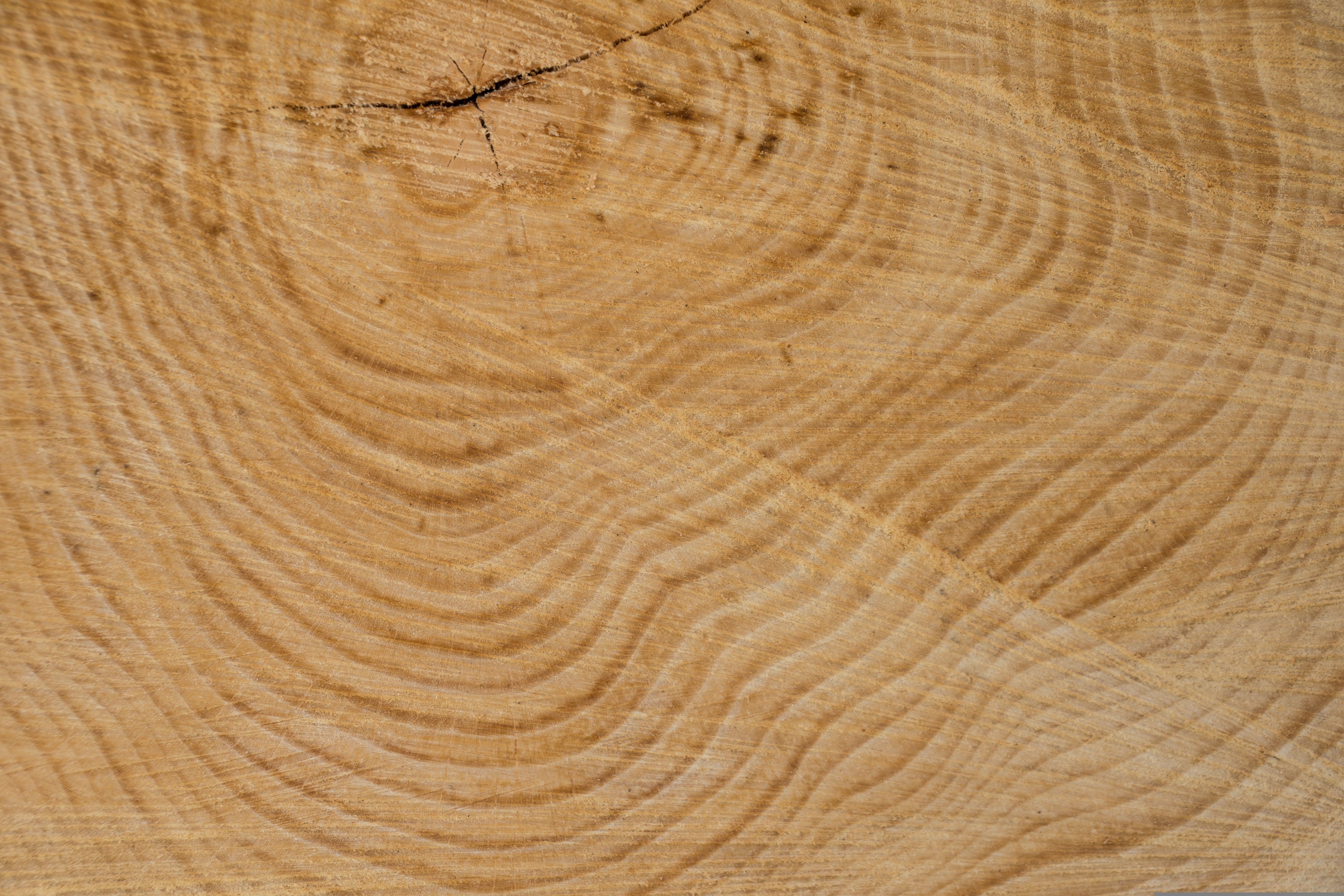 Reifeprüfung: junge und gereifte Weine