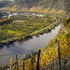 Mosel vs. Rheingau