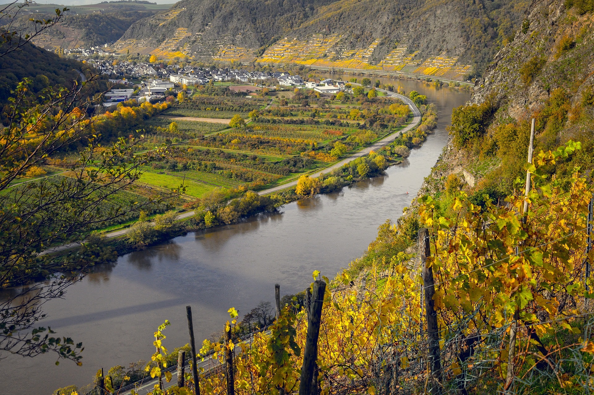 Mosel vs. Rheingau