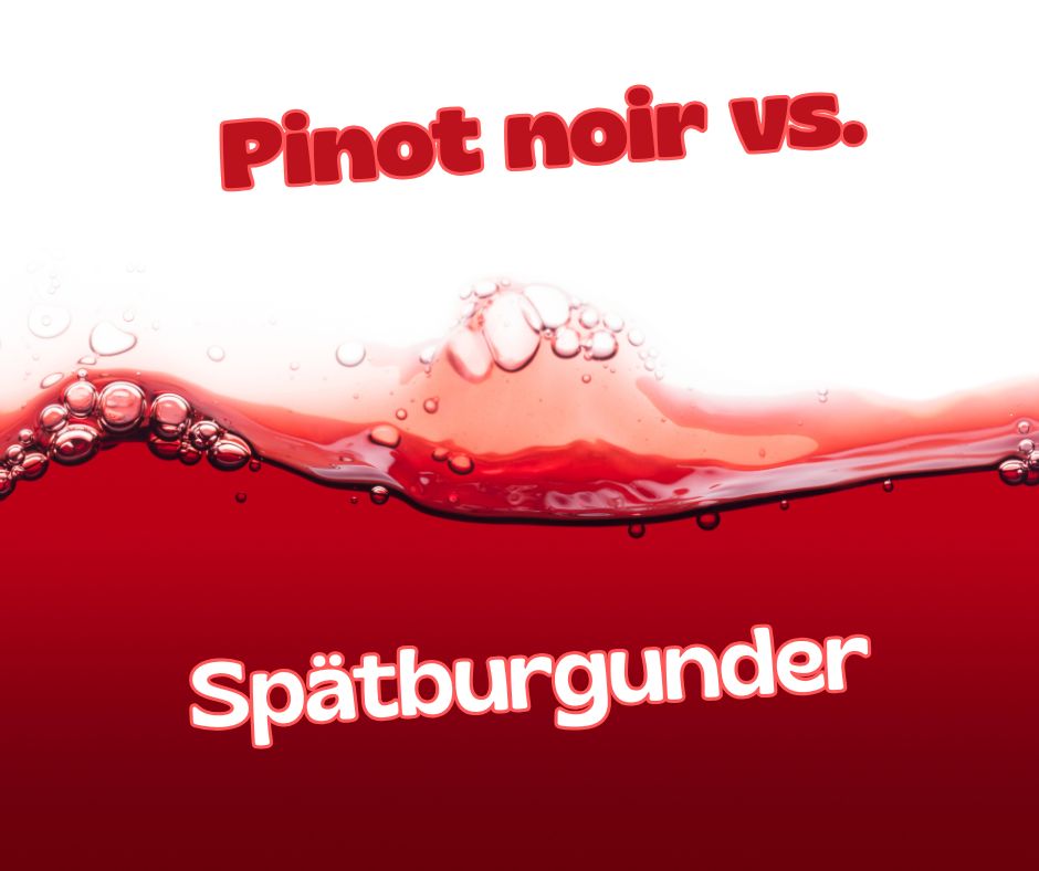 Spätburgunder vs. Pinot noir. Deutschland vs. Frankreich