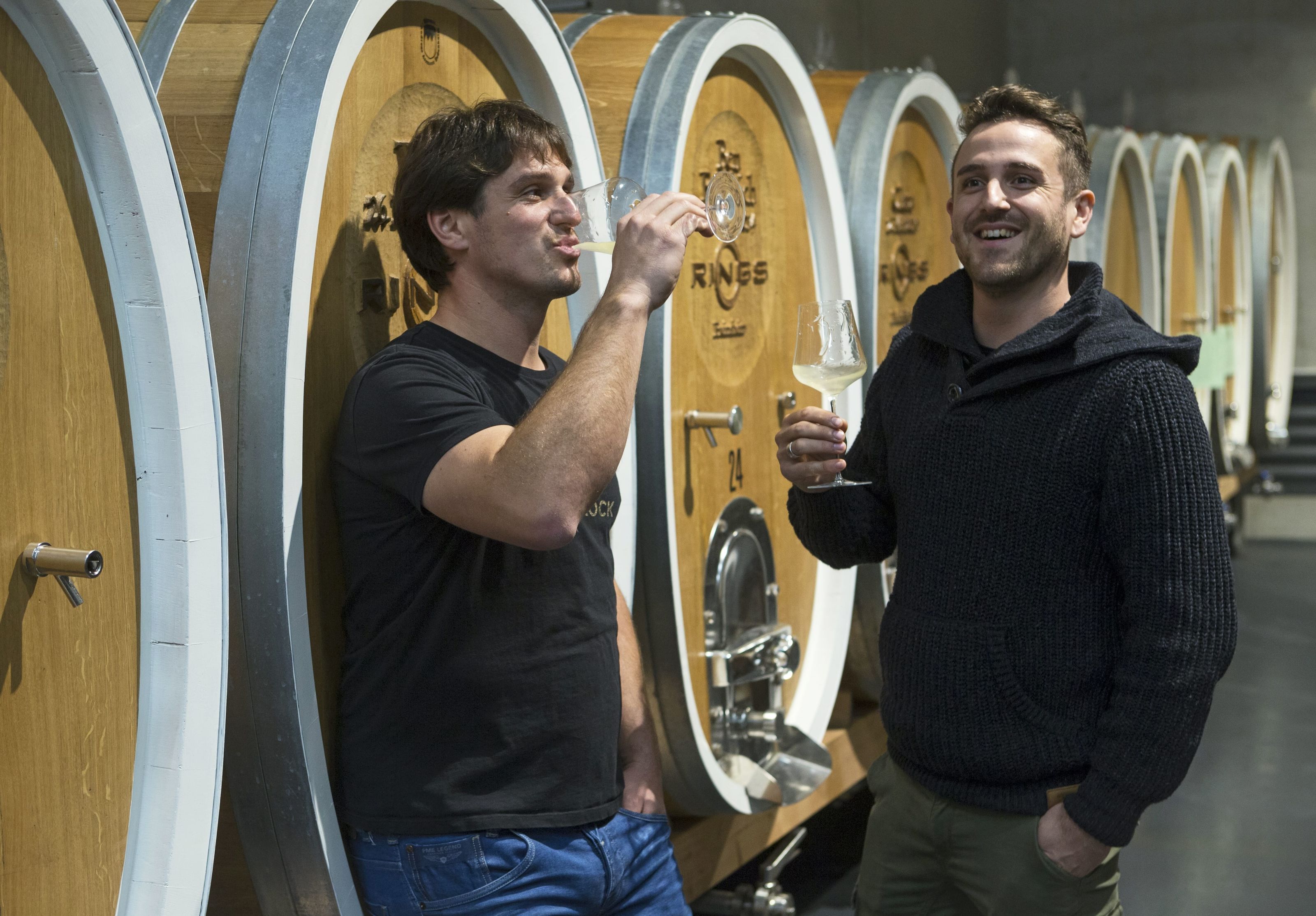 Rings rocks: Weingut Rings, Freinsheim, Pfalz