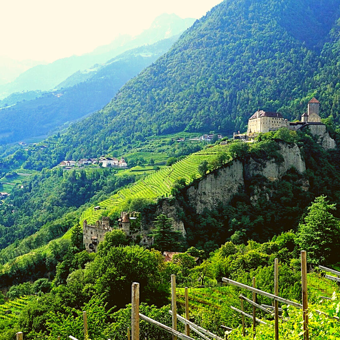 Gipfelstürmer: Alpenweine aus Höhenlagen (2. Termin)