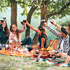Sommer- und Grill-Weine mit Ole